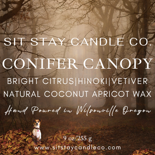 CONIFER CANOPY